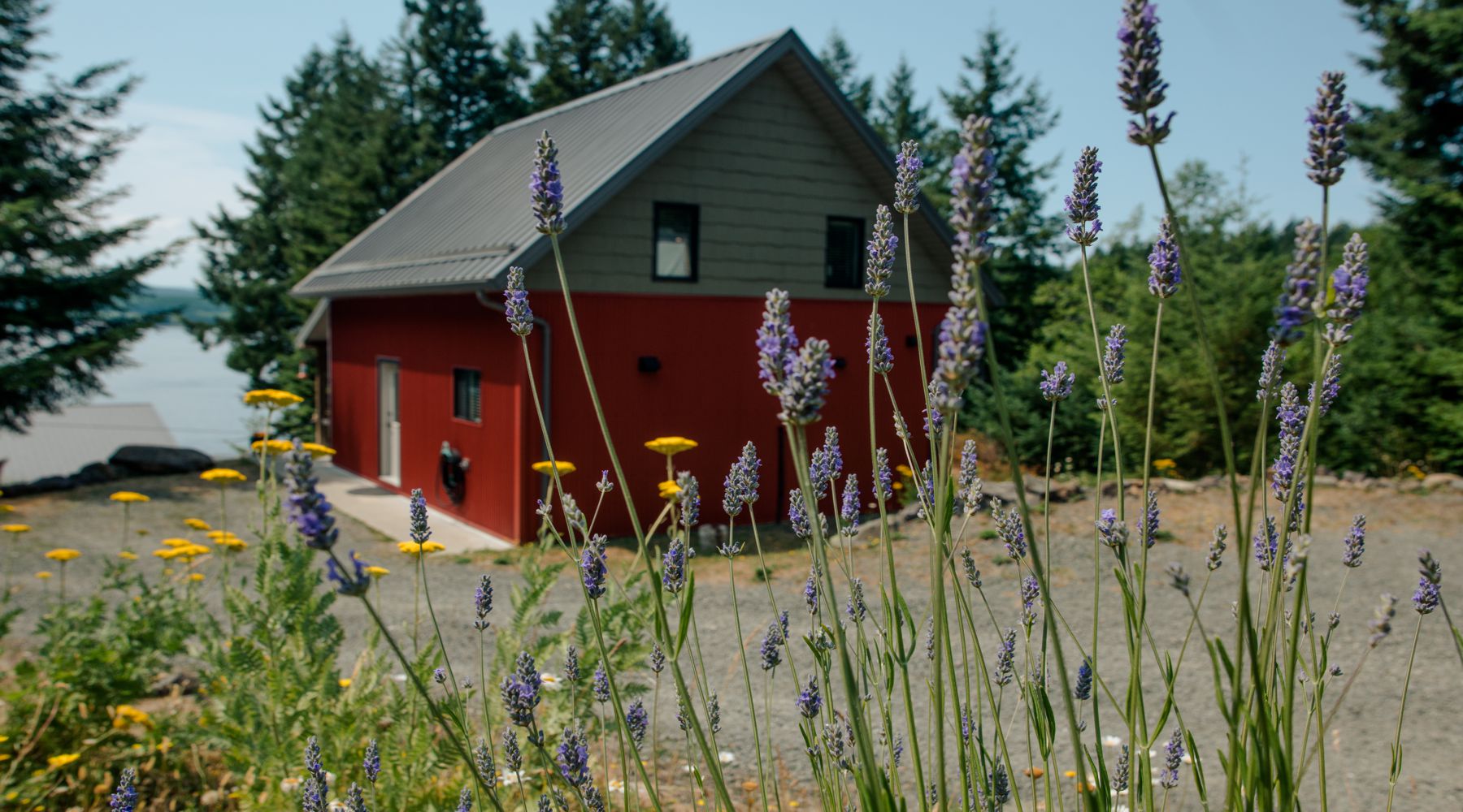 Whalebone Cove Cabin, ocean views